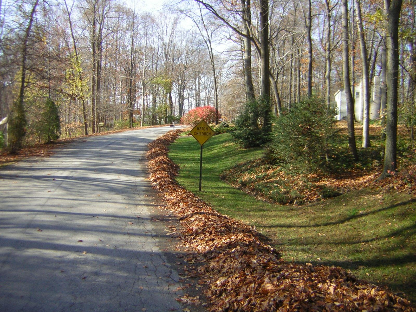 20150401 Leaf Collection.jpg